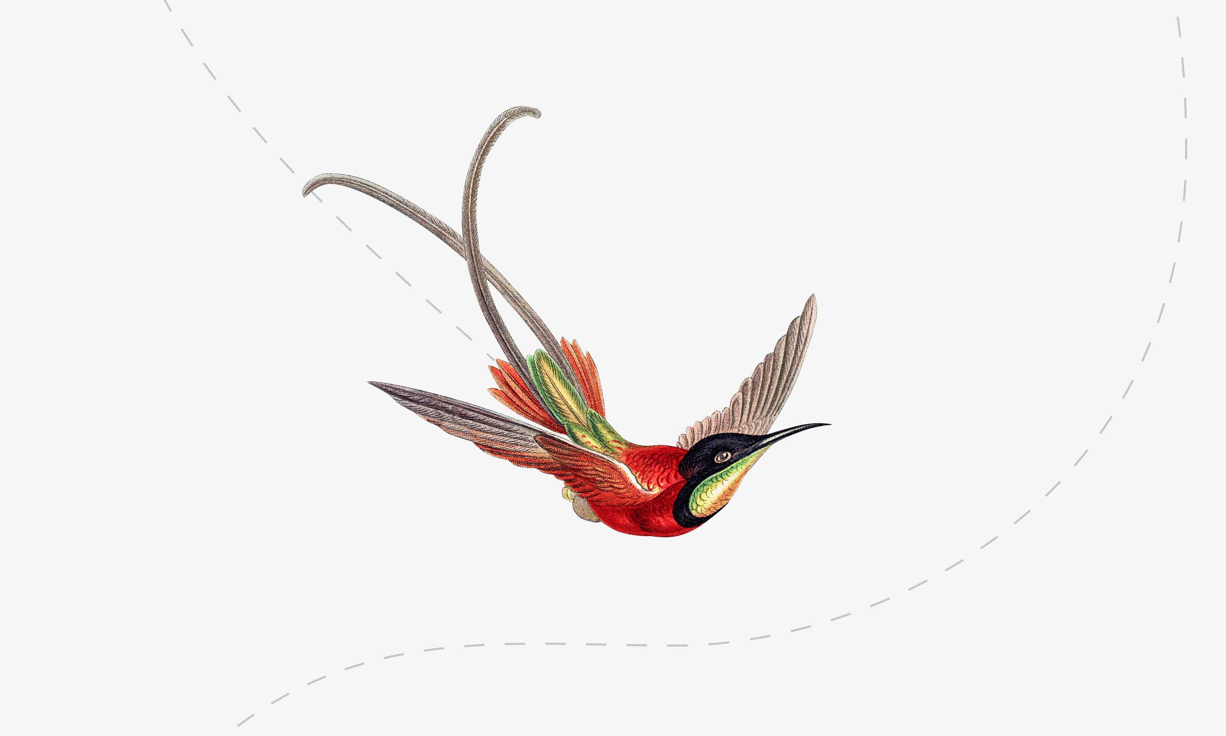 Ilustracja przedstawiająca ptaka w locie